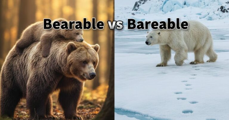 Bearable vs Bareable
