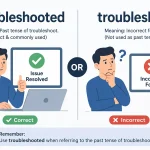 Troubleshooted or Troubleshot