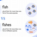 Fish or Fishes