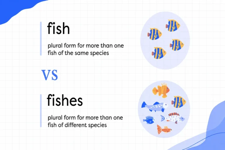 Fish or Fishes
