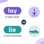 Lies vs Lays