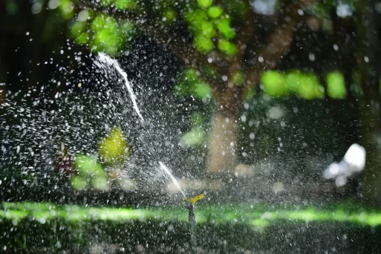 Healthy Sprinkler System