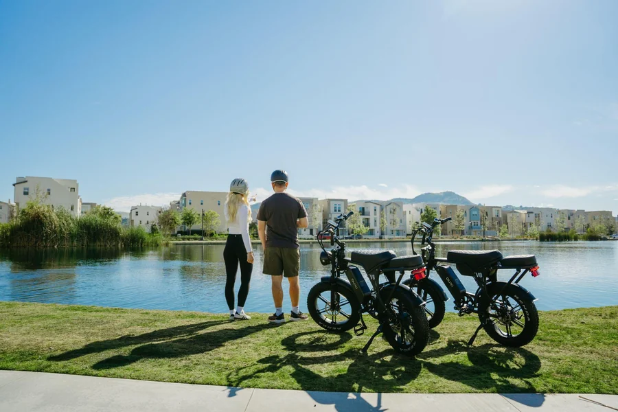 Electric Bike