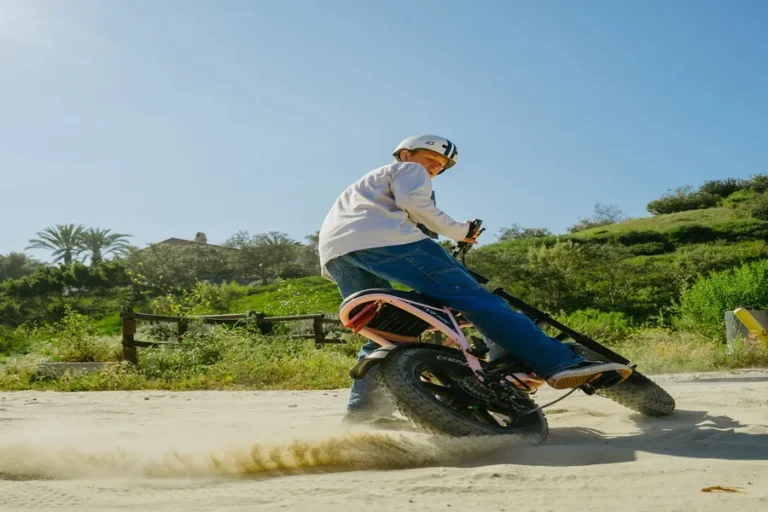 Electric Bike