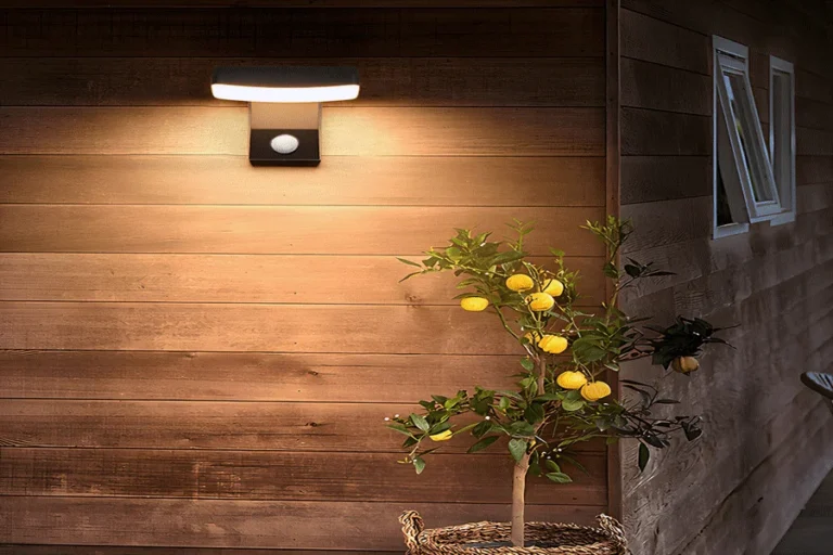 Porch-Light Mystery