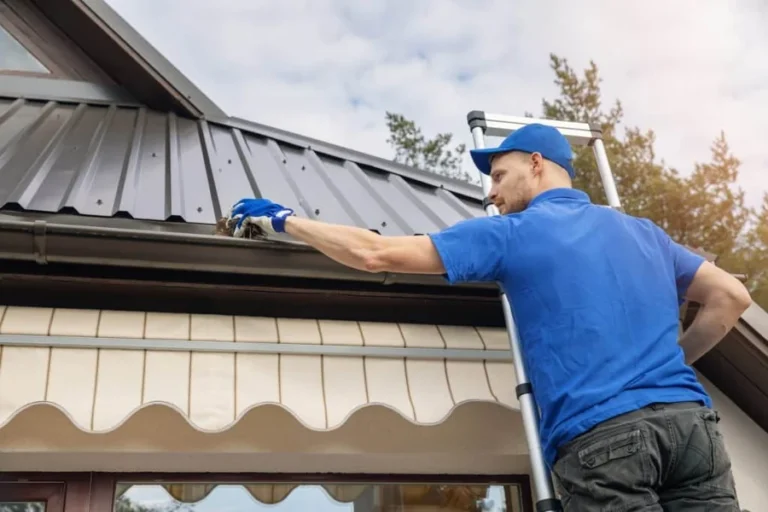 Professional Gutter Cleaning
